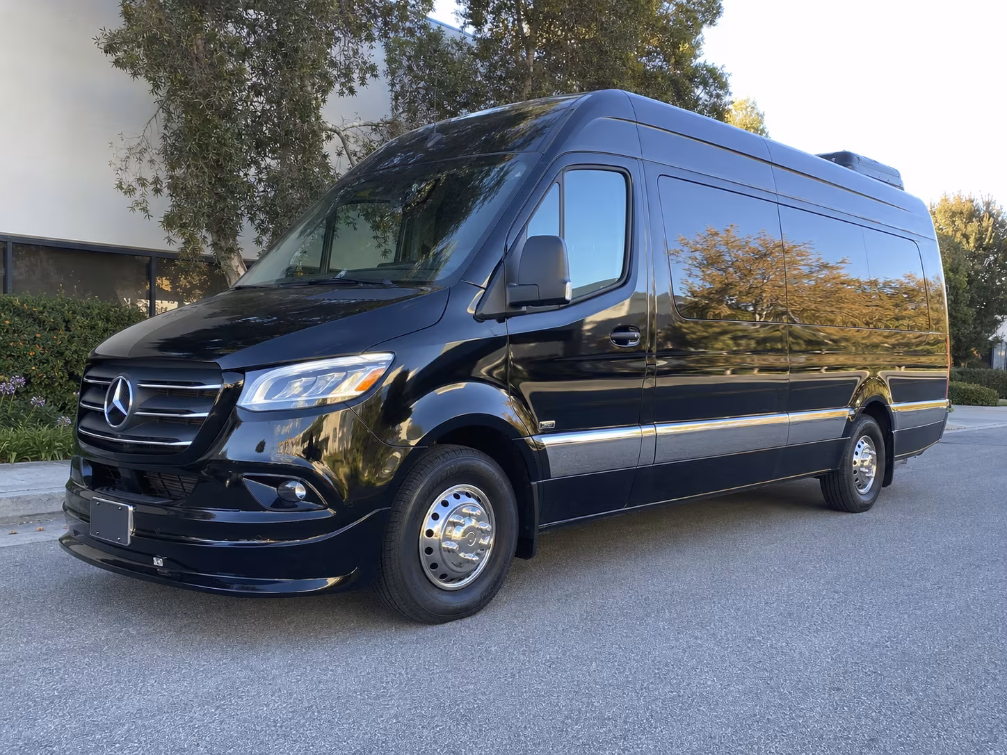 12 passenger sprinter van