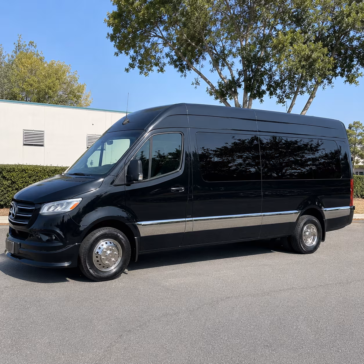 quinceanera sprinter van transportation in omaha for the whole family